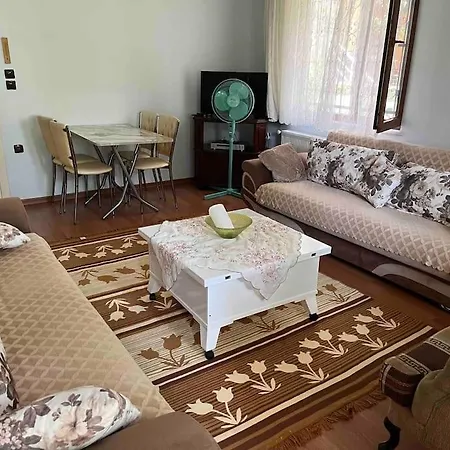Altinoluk'ta Bahce Kati 1+1 Daire Апартаменты Алтынолук